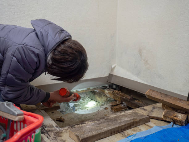 Best Commercial Mold Inspection  in Edinburg, VA