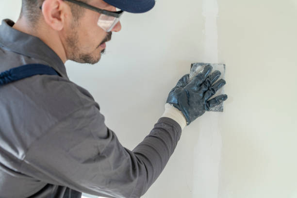 Best Attic Mold Removal  in Edinburg, VA