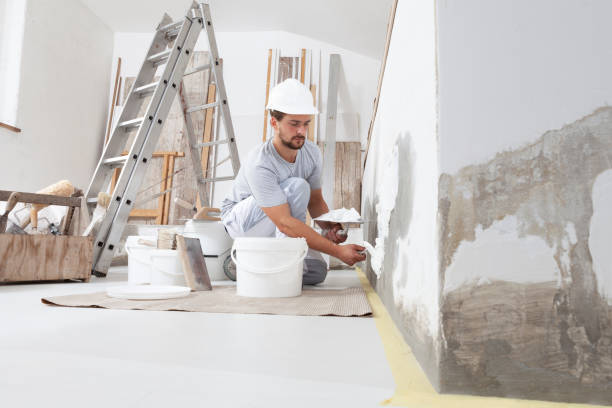 Best Comprehensive Air Testing for Mold Contaminants  in Edinburg, VA