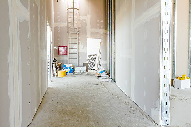Best Mold Documentation for Insurance Claims  in Edinburg, VA